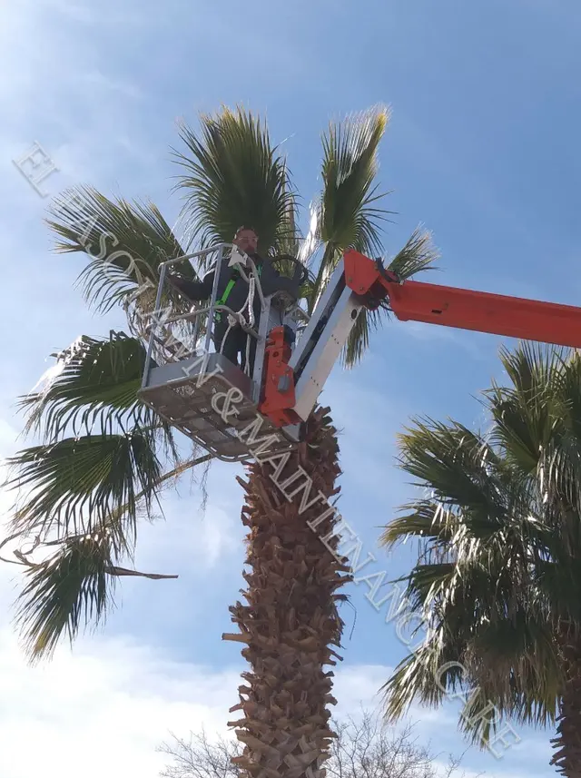 El Paso Lawn & Maintenance Care — photo from the business 4