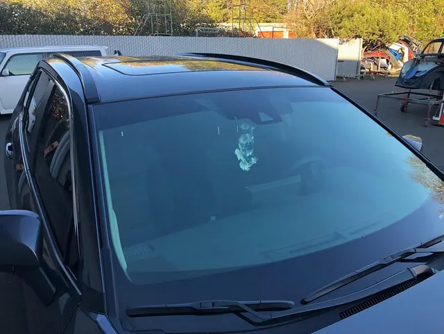 Window Tint King — photo from the business 6
