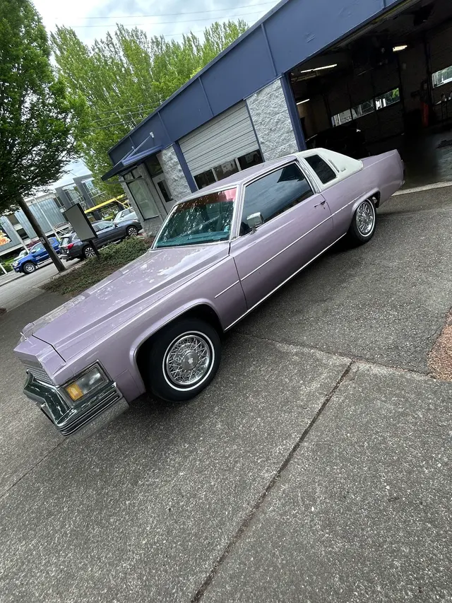 DBD Window Tinting — photo from the business 10