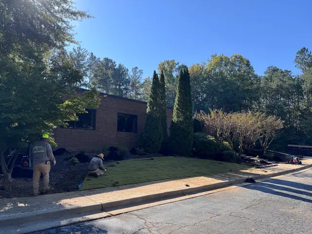 Outdoor Landscape Transformation — customer photo 1