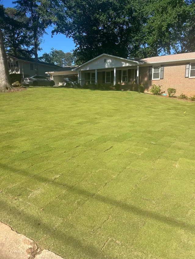 Outdoor Landscape Transformation — customer photo 12