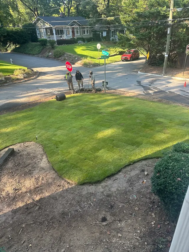 Outdoor Landscape Transformation — customer photo 10