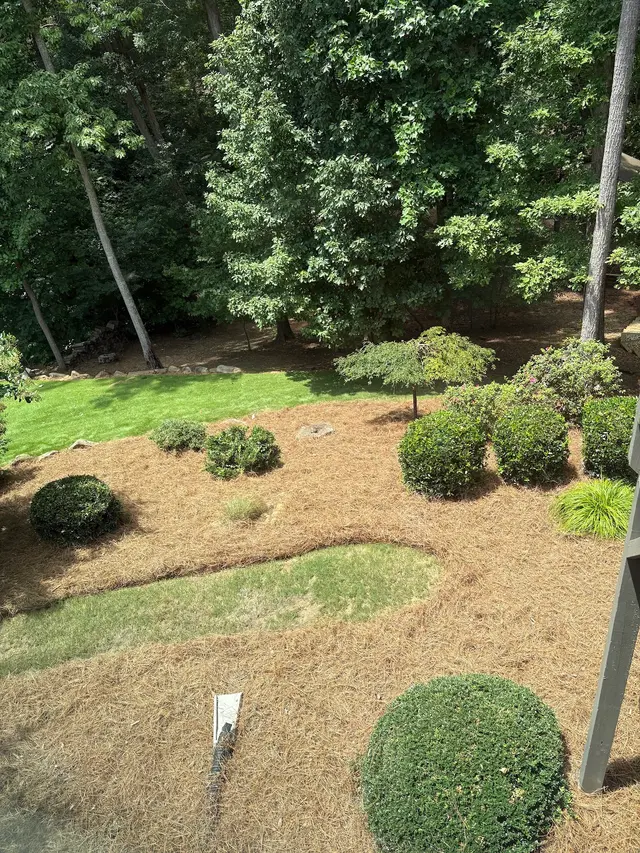 Outdoor Landscape Transformation — customer photo 11