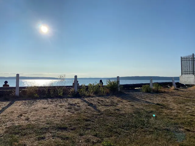 Browns Point Playfield Tennis & Pickleball Courts — customer photo 11