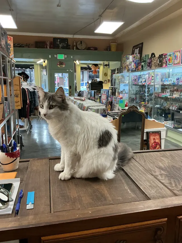 Douglas Boulevard Veterinary Clinic — customer photo 9