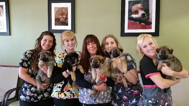 Douglas Boulevard Veterinary Clinic — photo from the business 1
