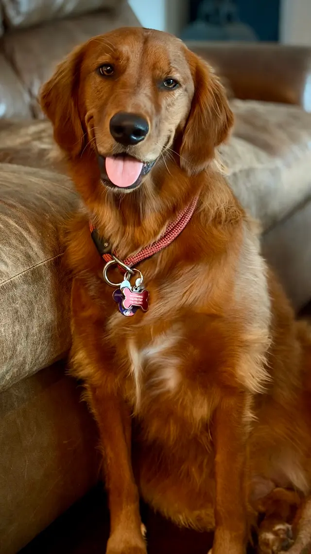 Douglas Boulevard Veterinary Clinic — customer photo 6