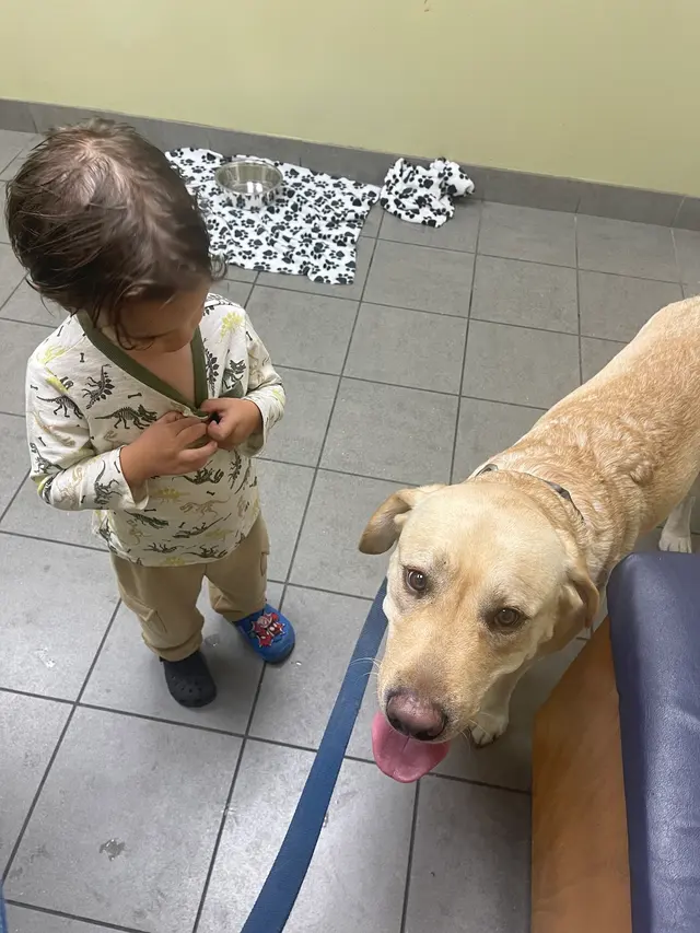 Douglas Boulevard Veterinary Clinic — customer photo 7