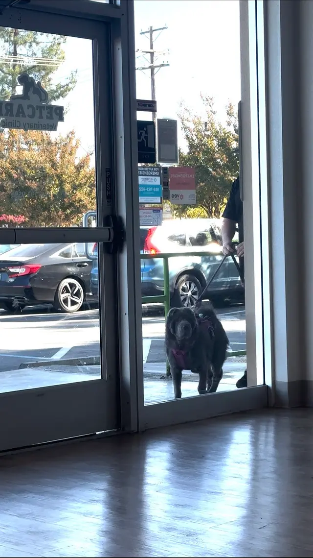 PetCare Veterinary Clinic — customer photo 10