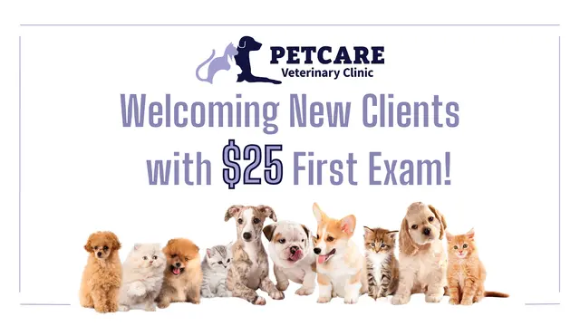 PetCare Veterinary Clinic — photo from the business 1