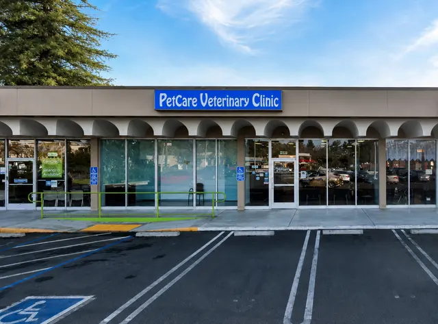 PetCare Veterinary Clinic — photo from the business 3