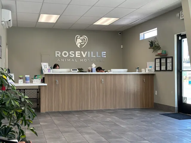 Roseville Animal Hospital — customer photo 2