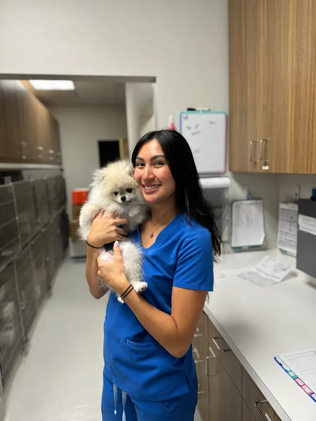 Roseville Animal Hospital — photo from the business 6