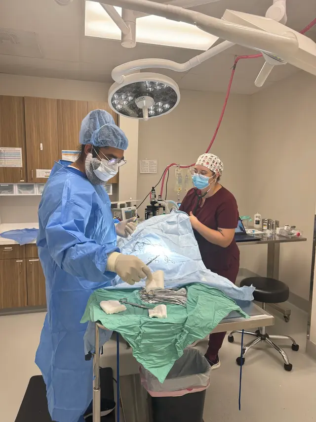 Roseville Animal Hospital — photo from the business 8