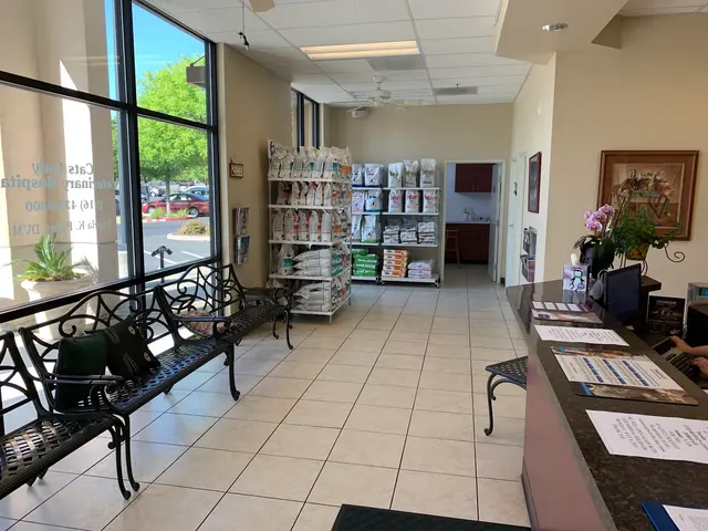 Cats Only Veterinary Hospital — photo from the business 8