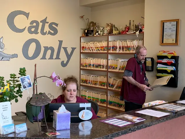 Cats Only Veterinary Hospital — photo from the business 7