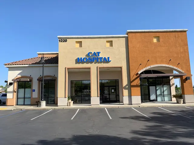 Cats Only Veterinary Hospital — photo from the business 1