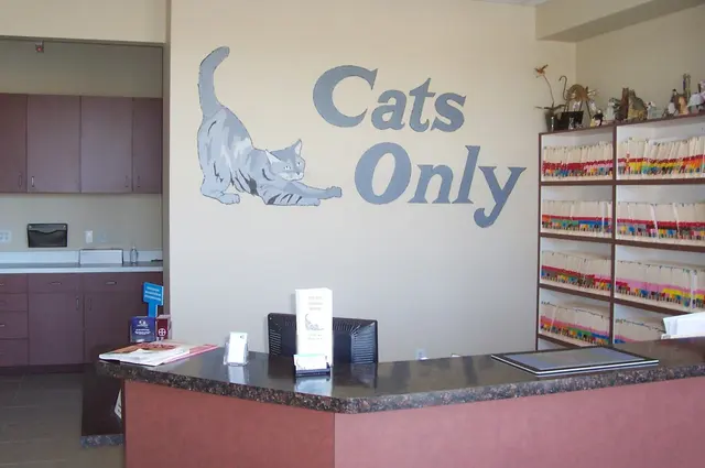 Cats Only Veterinary Hospital — photo from the business 10