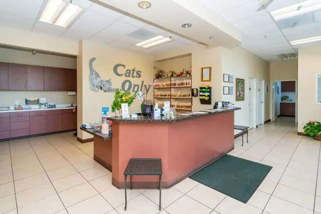 Cats Only Veterinary Hospital — photo from the business 4