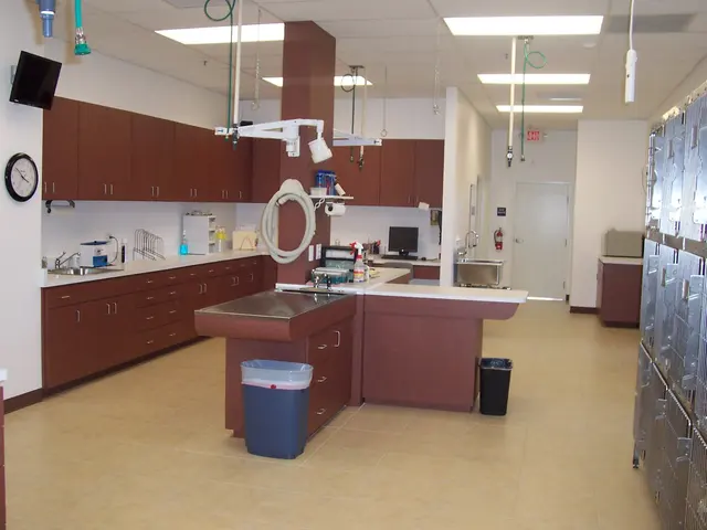 Cats Only Veterinary Hospital — photo from the business 12