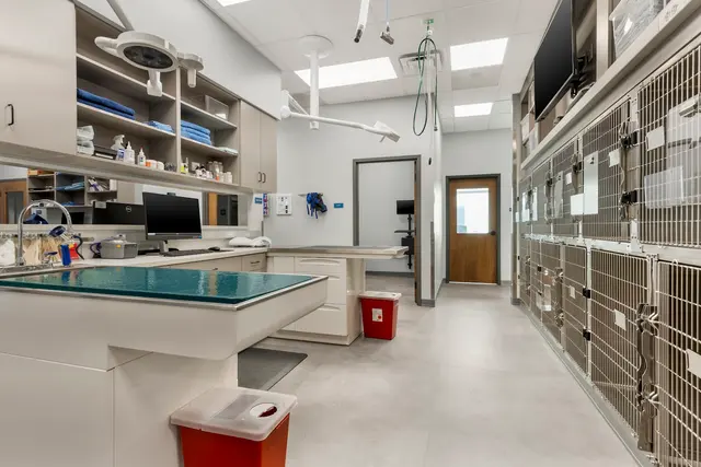 Livewell Animal Hospital of Roseville — photo from the business 3