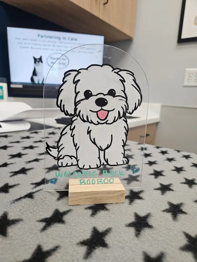 Customer photo of work by Livewell Animal Hospital of Roseville, from Ana Alfaro's review