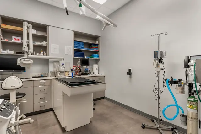 Livewell Animal Hospital of Roseville — photo from the business 2