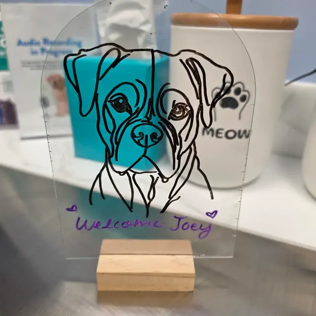 Livewell Animal Hospital of Roseville — customer photo 12