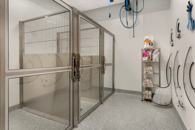 Livewell Animal Hospital of Roseville — photo from the business 5