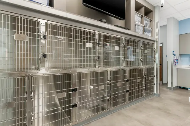 Livewell Animal Hospital of Roseville — photo from the business 8