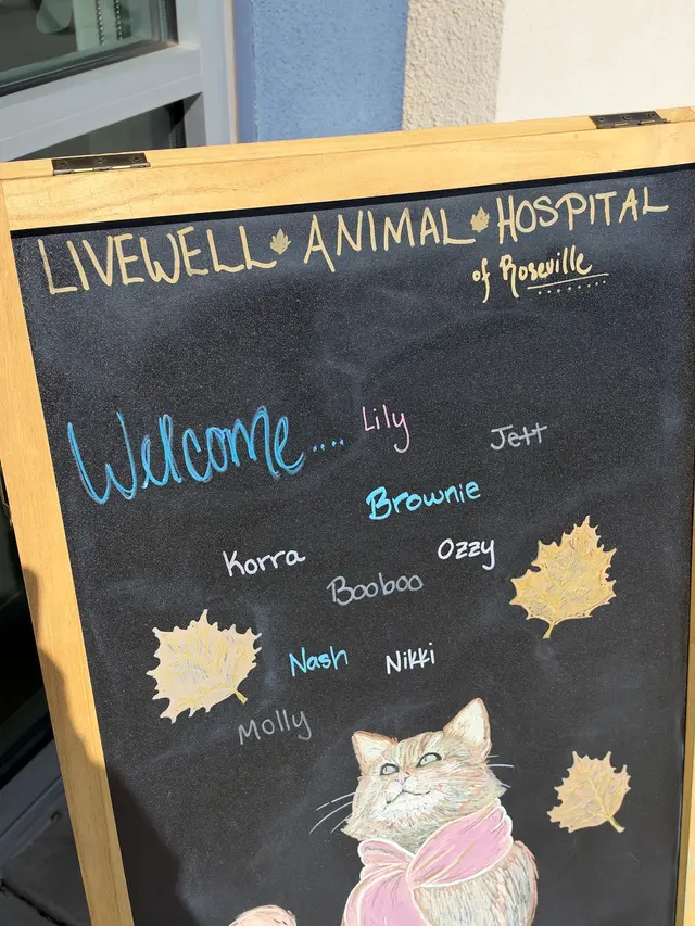 Livewell Animal Hospital of Roseville — customer photo 10