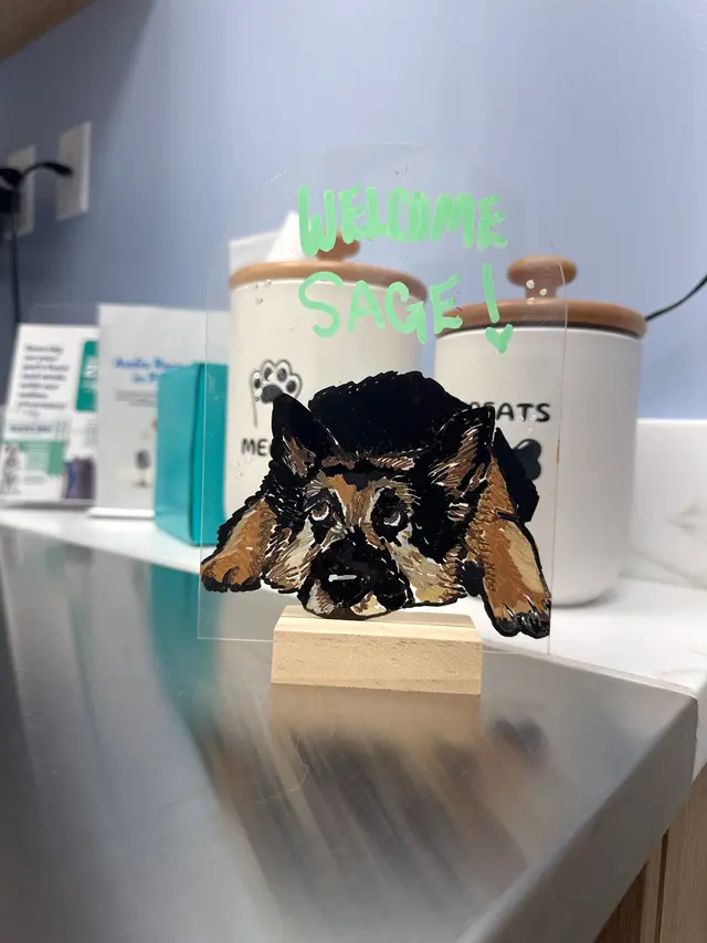 Livewell Animal Hospital of Roseville — customer photo 7