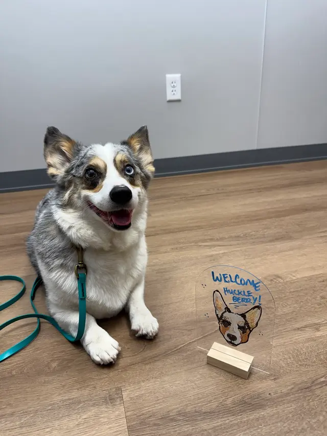 Livewell Animal Hospital of Roseville — customer photo 11