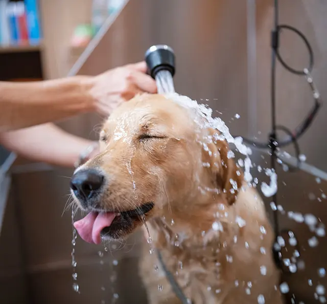 Cherry Creek Veterinary Hospital — photo from the business 7