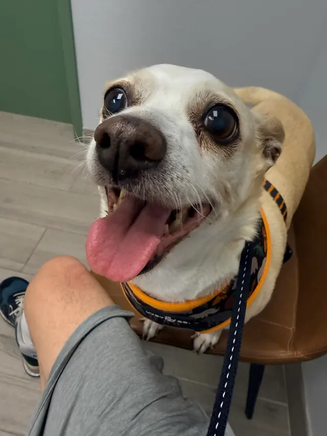 Cherry Creek Veterinary Hospital — customer photo 1