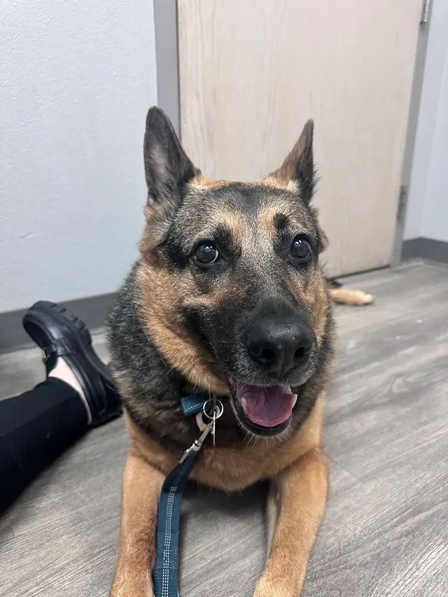 Cherry Creek Veterinary Hospital — customer photo 2