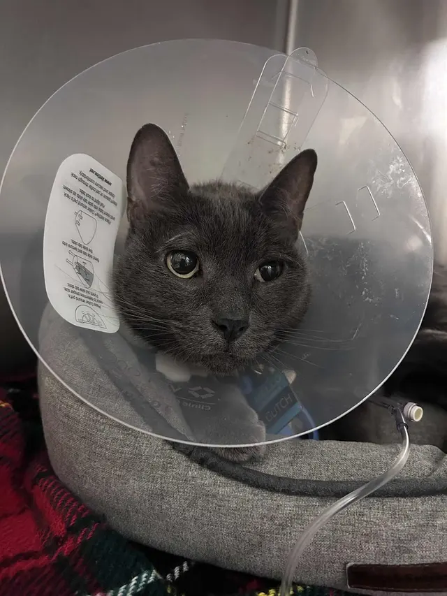 Sierra Ranch Veterinary Clinic — customer photo 12