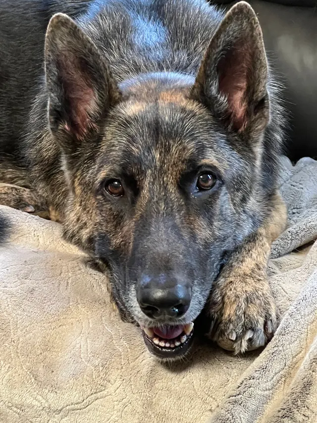Sierra Ranch Veterinary Clinic — customer photo 9