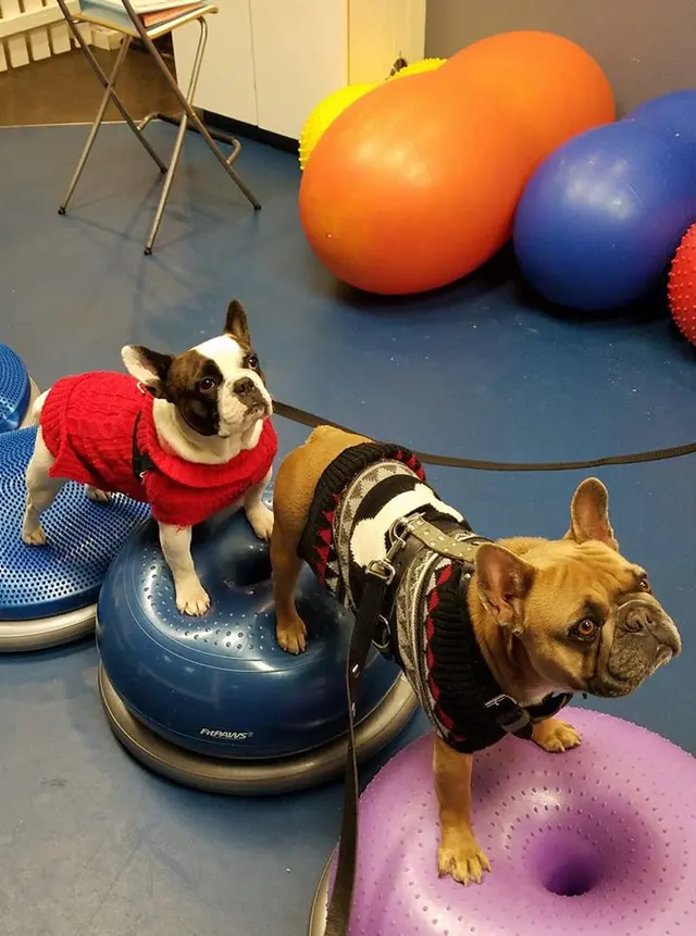 Sierra Ranch Veterinary Clinic — customer photo 11