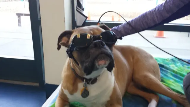 Sierra Ranch Veterinary Clinic — customer photo 8
