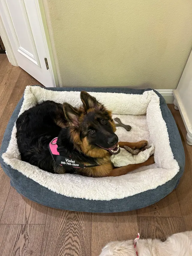 Sierra Ranch Veterinary Clinic — customer photo 6