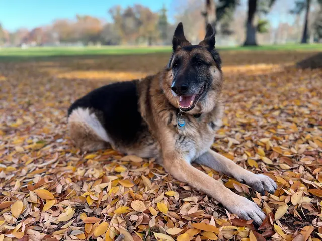 Sierra Ranch Veterinary Clinic — customer photo 4