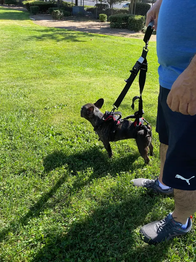 Sierra Ranch Veterinary Clinic — customer photo 5