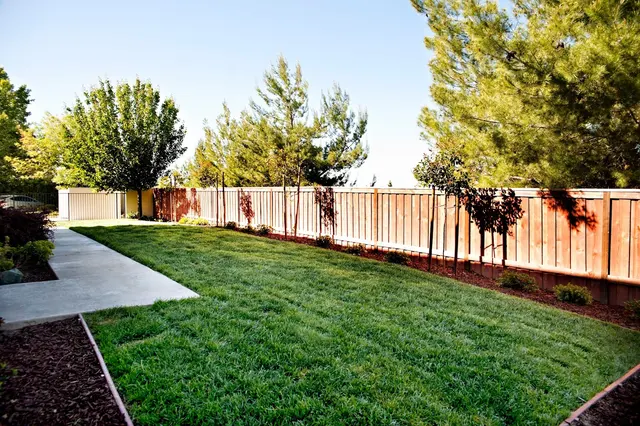 Rocklin Ranch Veterinary Hospital & Urgent Care — photo from the business 4