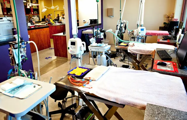 Rocklin Ranch Veterinary Hospital & Urgent Care — photo from the business 3