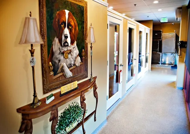 Rocklin Ranch Veterinary Hospital & Urgent Care — photo from the business 7
