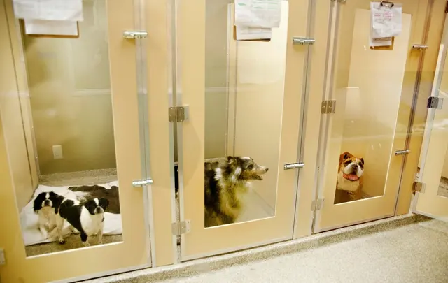 Rocklin Ranch Veterinary Hospital & Urgent Care — photo from the business 12