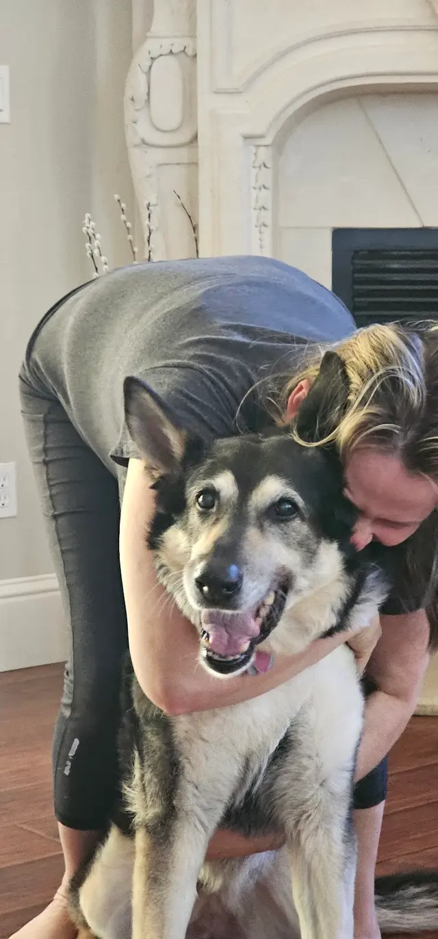 Customer photo of work by Rocklin Ranch Veterinary Hospital at Pacific Street, from Leonid Ganapolskiy's review