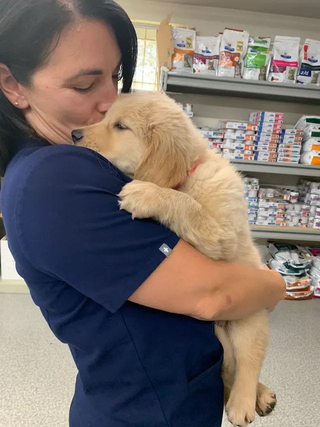 Rocklin Ranch Veterinary Hospital at Pacific Street — photo from the business 2