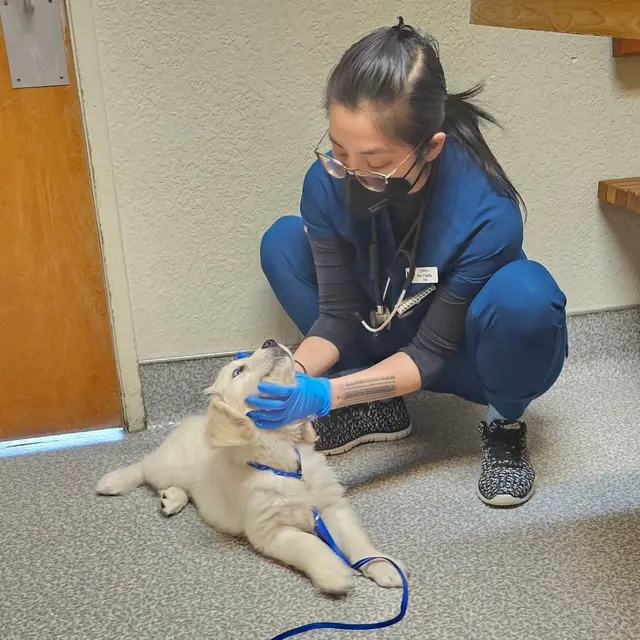 Rocklin Ranch Veterinary Hospital at Pacific Street — photo from the business 7